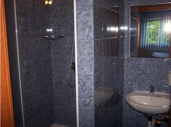 Hotel U Jelena Havířov Chambre photo